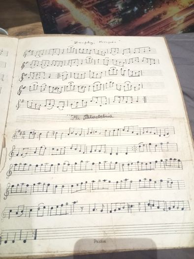 manuscript of Lily Bodie Dublin 1920