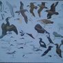 Vintage Bird Charts - Sea Birds, Birds of Prey & Water Birds Image 3