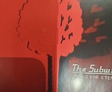 The Subways - Young For Eternity.