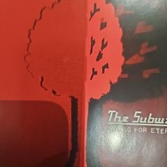 The Subways - Young For Eternity.