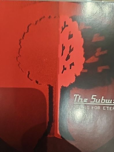 The Subways - Young For Eternity.