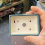 bonsai pot Image 3