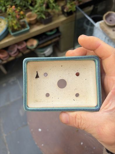 bonsai pot