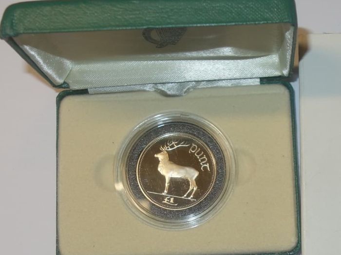 Frosted Proof Cupro-nickel One Pound Coin Issued In 1990