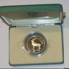Frosted Proof Cupro-nickel One Pound Coin Issued In 1990
