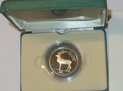 Frosted Proof Cupro-nickel One Pound Coin Issued In 1990