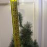 christmas tree Image 3