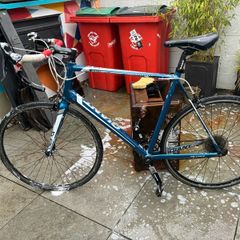 giant race bike