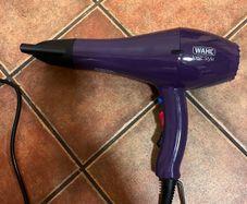 LAST WEEK: Wahl ionic hair dryer