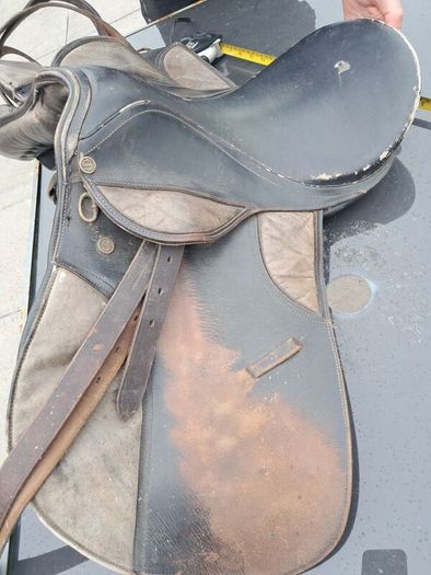Equestrian Saddles x 6