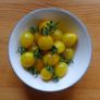 Tomato 'Yellow Submarine' Irish Seeds Image 2