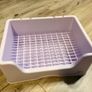 rabbit litter tray toilet Image 2