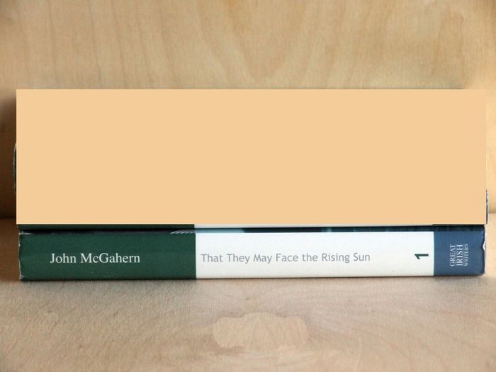 Great Irish Writers collection (Irish Independent)