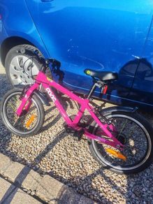 Frog bike 48