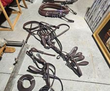 horse harness