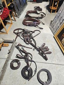 horseshoe buckle harness