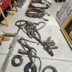 horseshoe buckle harness