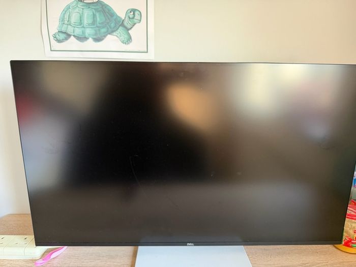Gaming monitor