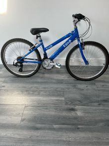 Girls Raleigh bike 26"