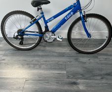 Girls Raleigh bike 26"