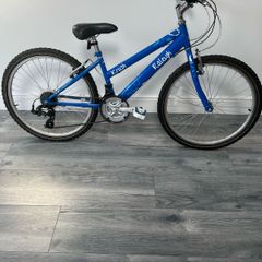 Girls Raleigh bike 26"