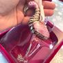 Christmas decoration Flamingo collectible Image 3