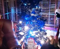Black Led Christmas Tree