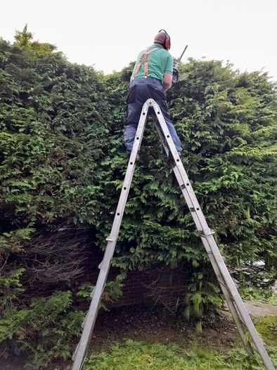 lawn care landscape and garden services
