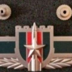 China ,  peoples liberation army artillery badge.