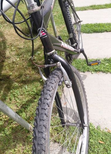 retro adult mountain bike