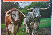 Rare Breeds
