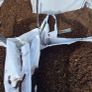 Fine Bark / Mulch Image 2