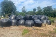 Second cut silage