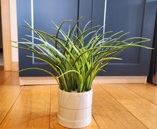 Artificial Grass Plant in Ceramic Pot - 40cm