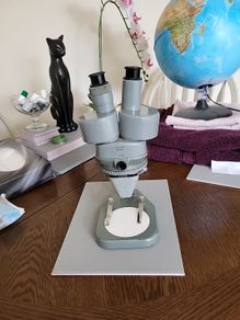 Binocular microscope