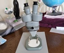 Binocular microscope
