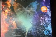 Fire and Ice 2 Junior Cycle English School book