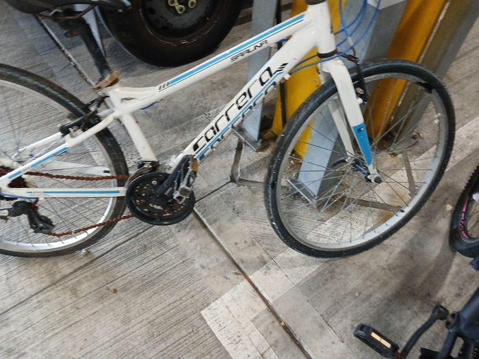 carrerra bike