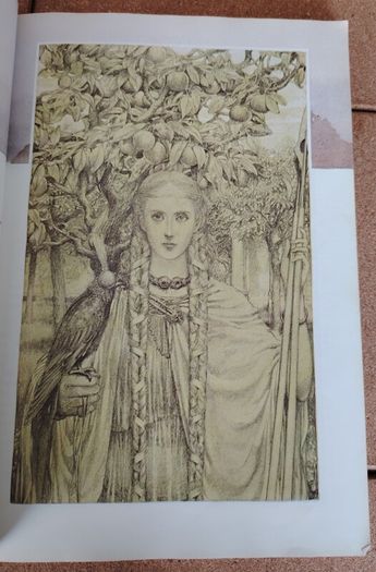 Vintage 1979 Faeries Book - Alan Lee Cover Variant (Pan Books First Printing)