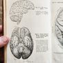 Psychology.  Stonyhurst Philosophical  Series. By Michael Maher, Sj. 1905 Hardback In Good Condition. Image 9