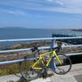 Cannondale CAAD Optimo Road Bike Image 4
