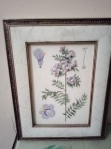 Home And Garden
