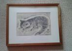 Cat picture in frame