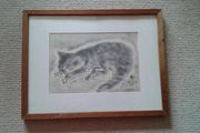 Cat picture in frame