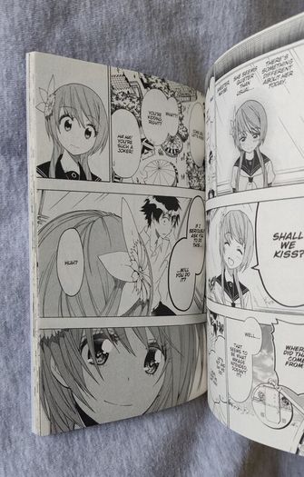 Nisekoi False Love vol.11 manga anime chitoge kirisaki onodera kosaki raku ichijou