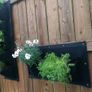 Horizontal Wall Planter Clever Pot Image 3