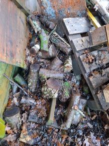 Firewood