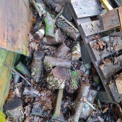 Firewood