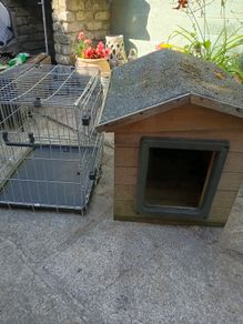 Dog cage and kennel