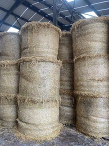 Straw
